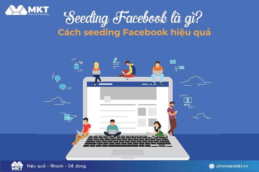 Seeding Facebook là gì?