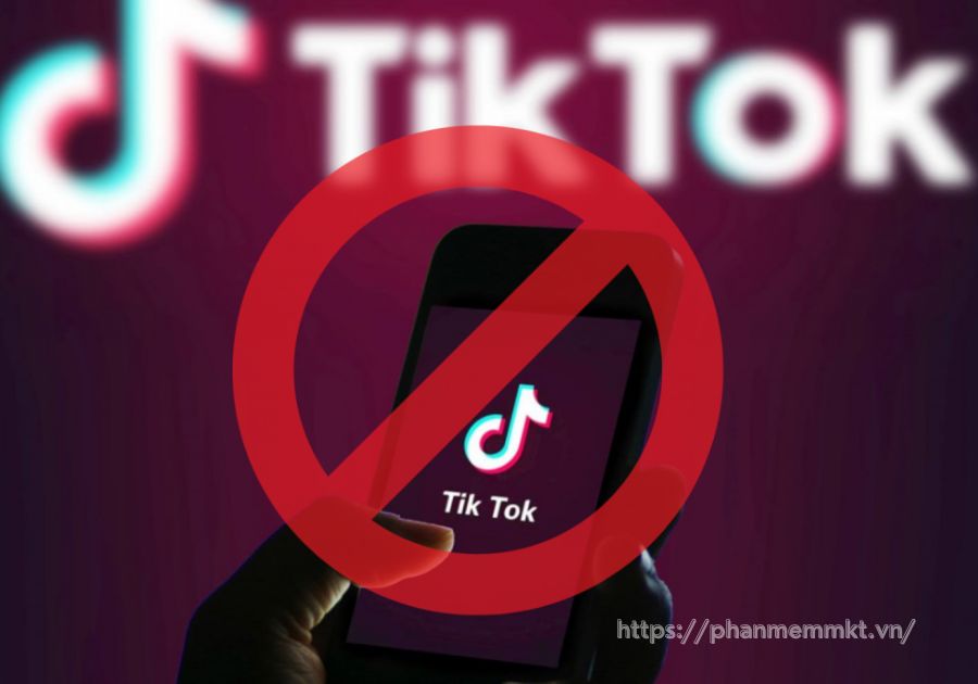 spam là gì trên tiktok