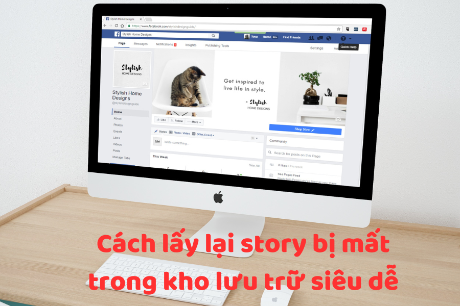 Hướng Dẫn Lấy Lại Story Bị Mất Trong Kho Lưu Trữ Siêu Dễ