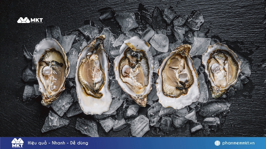 SeaFood Quảng Ninh chuyên cung cấp hàu đại dương SeaFood Quảng Ninh chuyên cung cấp hàu đại dương