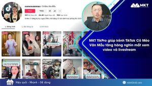 TikTok Cô Mèo Văn Mẫu